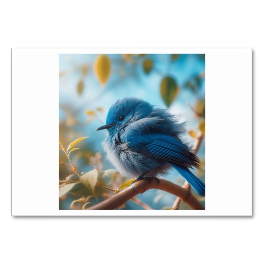 Bird (鸟 / nio) - Flashカー中国のド テーブルナンバー (正面)