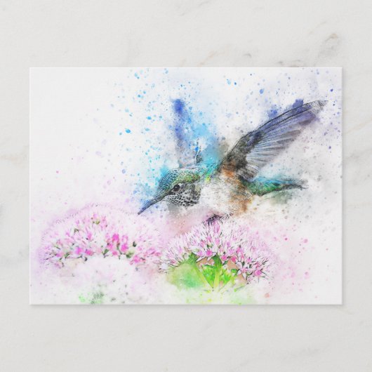 bird-2573779_1920 ポストカード (正面)