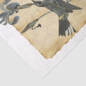 Bird 32デコページティッシュペーパー 薄葉紙 (詳細)