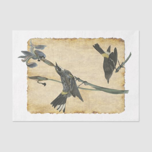 Bird 32デコページティッシュペーパー 薄葉紙 (正面)