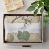 Bird 33デコページティッシュペーパー 薄葉紙 (ギフト)