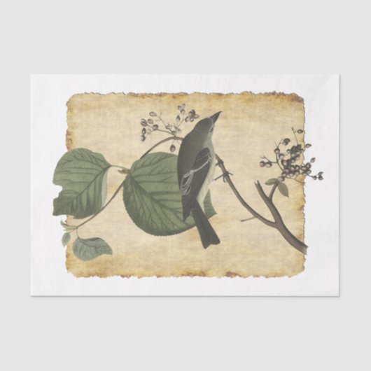 Bird 33デコページティッシュペーパー 薄葉紙 (正面)