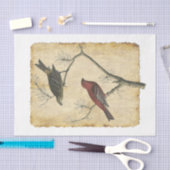 Bird 34デコページティッシュペーパー 薄葉紙 (クラフト)