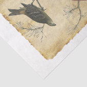 Bird 34デコページティッシュペーパー 薄葉紙 (詳細)