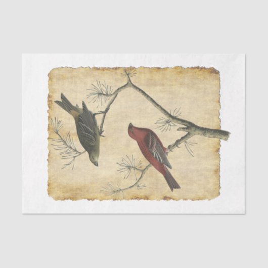 Bird 34デコページティッシュペーパー 薄葉紙 (正面)