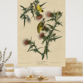 Bird, America, American Goldfinch, Audubon, Vintag ポスター (キッチン)