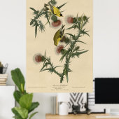 Bird, America, American Goldfinch, Audubon, Vintag ポスター (ホームオフィス)