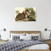 Bird, America, Ruffed Grouse, Audubon, Canvas キャンバスプリント (インサイチュ (寝室))