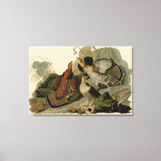 Bird, America, Ruffed Grouse, Audubon, Canvas キャンバスプリント