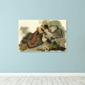Bird, America, Ruffed Grouse, Audubon, Canvas キャンバスプリント (インサイチュ (ウッドフロア))