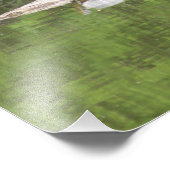 bird and turtle フォトプリント            (角)