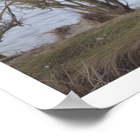 Bird at the Refuge Poster ポスター (角)