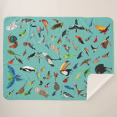 Bird Blanky シェルパブランケット (正面(横))