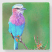 Bird blue _babero ストーンコースター (正面)