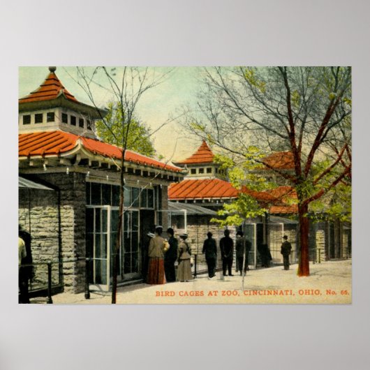 Bird Cages at Zoo, Cincinnati, OHヴィンテージ ポスター (正面)