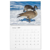 Bird Calendar Pick Your Start Month / Year カレンダー (1月 2027)