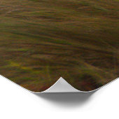 Bird Caught Crab Poster ポスター (角)