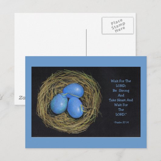 Bird Eggs in Nest:詩篇 ポストカード (正面/裏面)