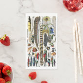 Bird Feather Wildlife Antique Feathers Art Nouveau (インサイチュ)