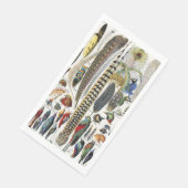 Bird Feather Wildlife Antique Feathers Art Nouveau (コーナー)