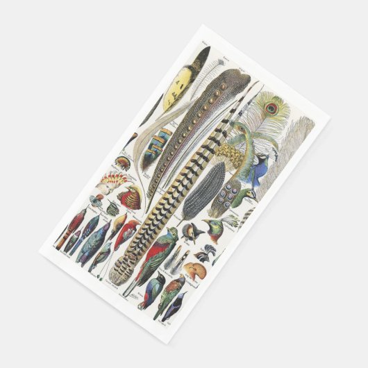 Bird Feather Wildlife Antique Feathers Art Nouveau (コーナー)