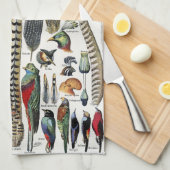 Bird Feather Wildlife Antique Feathers Art Nouveau キッチンタオル (四つ折り)