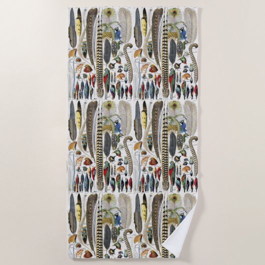 Bird Feather Wildlife Antique Feathers Art Nouveau ビーチタオル (正面)