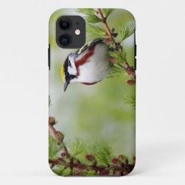 Bird grey_iphone iPhone 11 ケース