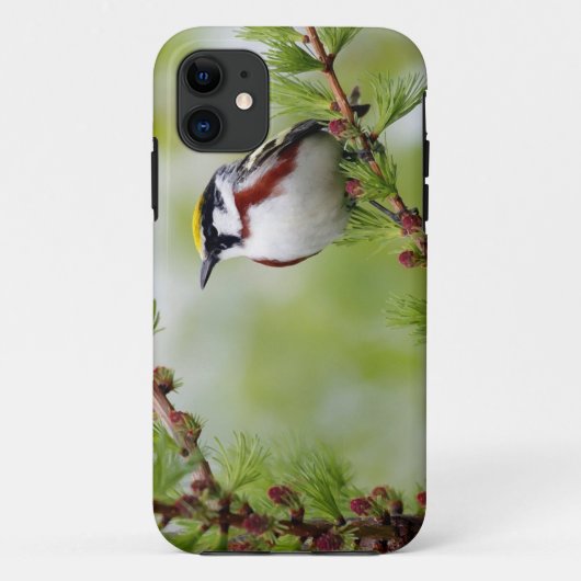 Bird grey_iphone Case-Mate iPhoneケース (裏面)