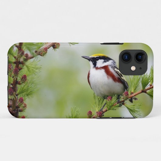 Bird grey_iphone Case-Mate iPhoneケース (裏面(横))