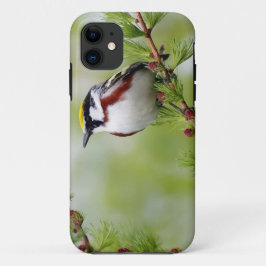 Bird grey_iphone iPhone 11 ケース