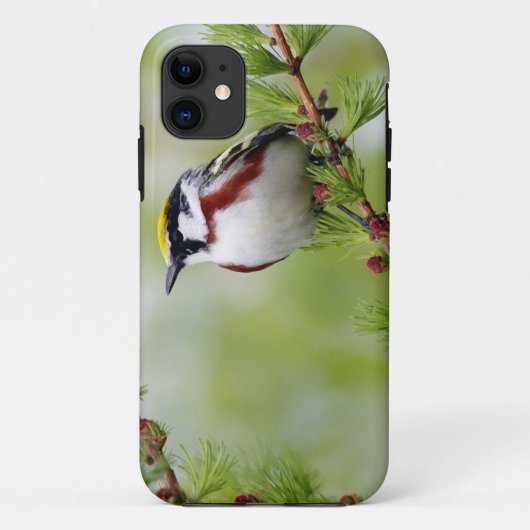 Bird grey_iphone Case-Mate iPhoneケース (裏面)