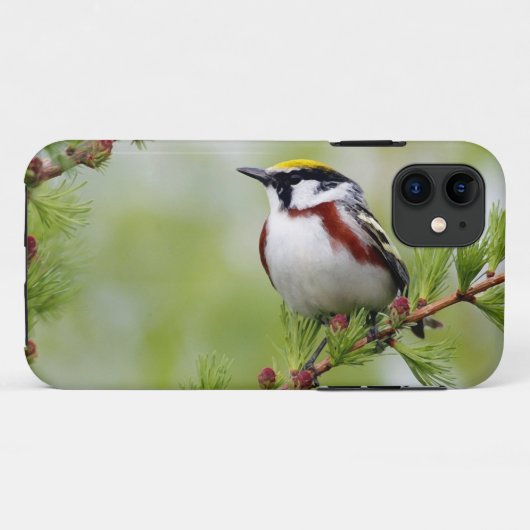 Bird grey_iphone Case-Mate iPhoneケース (裏面(横))