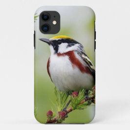 Bird grey_iphone iPhone 11 ケース