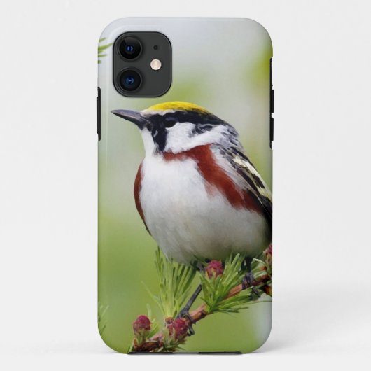 Bird grey_iphone Case-Mate iPhoneケース (裏面)