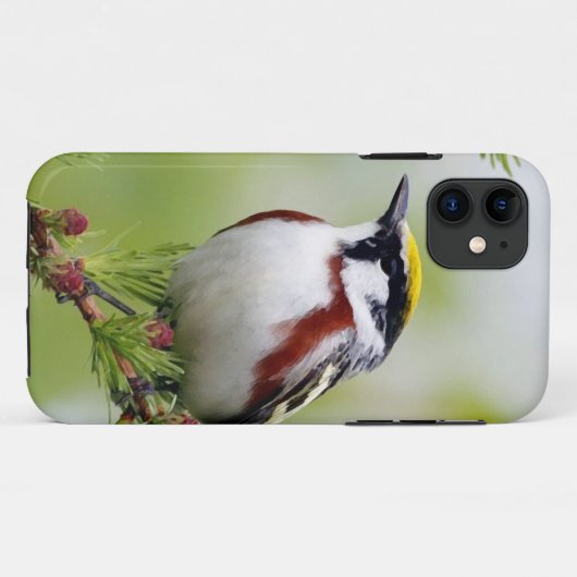 Bird grey_iphone Case-Mate iPhoneケース (裏面(横))
