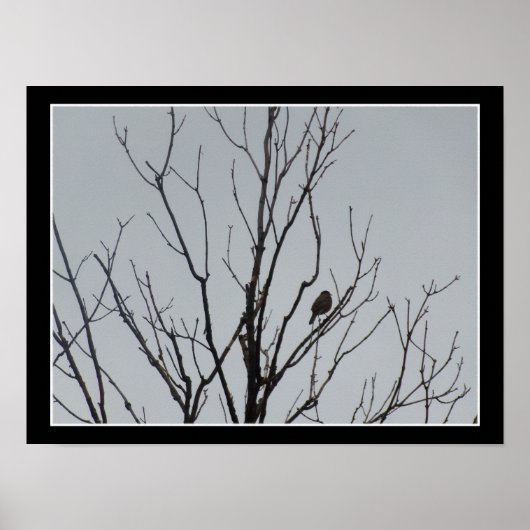 Bird in a Bare Tree Poster ポスター (正面)