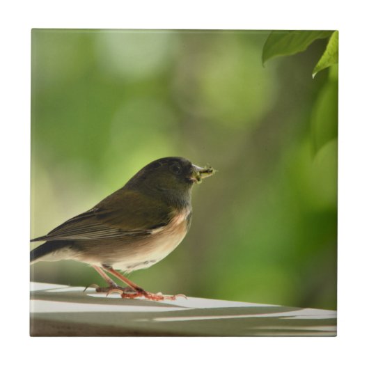Bird in green leaves background タイル (正面)