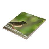 Bird in green leaves background タイル (側面)