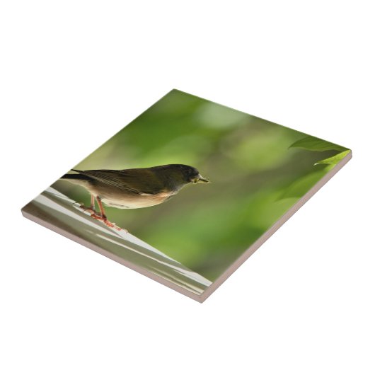 Bird in green leaves background タイル (側面)