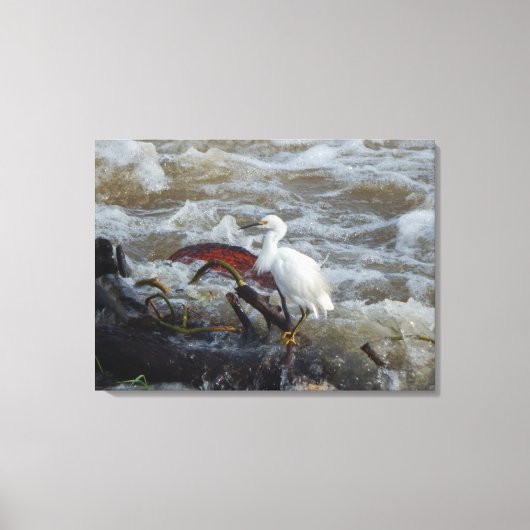 BIRD IN THE WILD #1 ON CANVAS 20 "x 16" キャンバスプリント (正面)
