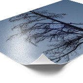 Bird in Treeシルエットプリント フォトプリント (角)