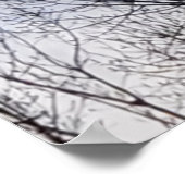 Bird in Winter Treeフォトファミリーツリーポスター ポスター (角)