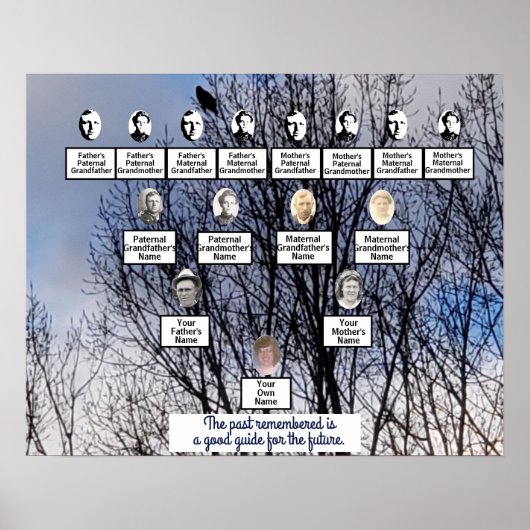 Bird in Winter Treeフォトファミリーツリーポスター ポスター (正面)