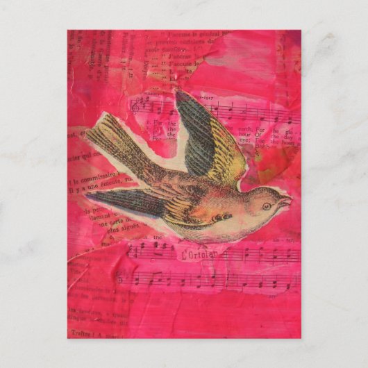 Bird Mixed Media  Hot Pink Background ポストカード (正面)