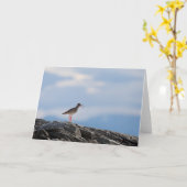 Bird Nature Photo カード (黄色い花)