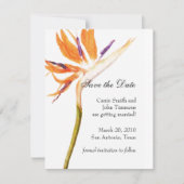 Bird of Paradiseで日付を保存 セーブザデート (正面)