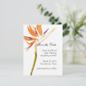 Bird of Paradiseで日付を保存 セーブザデート (スタンド正面)