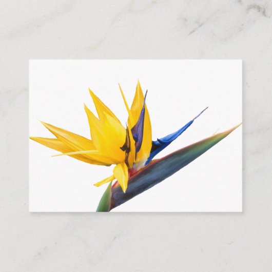 Bird of Paradiseの詳細結婚エンクロージャカード エンクロージャーカード