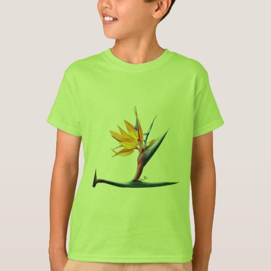 Bird of Paradiseシャツ Tシャツ (正面)